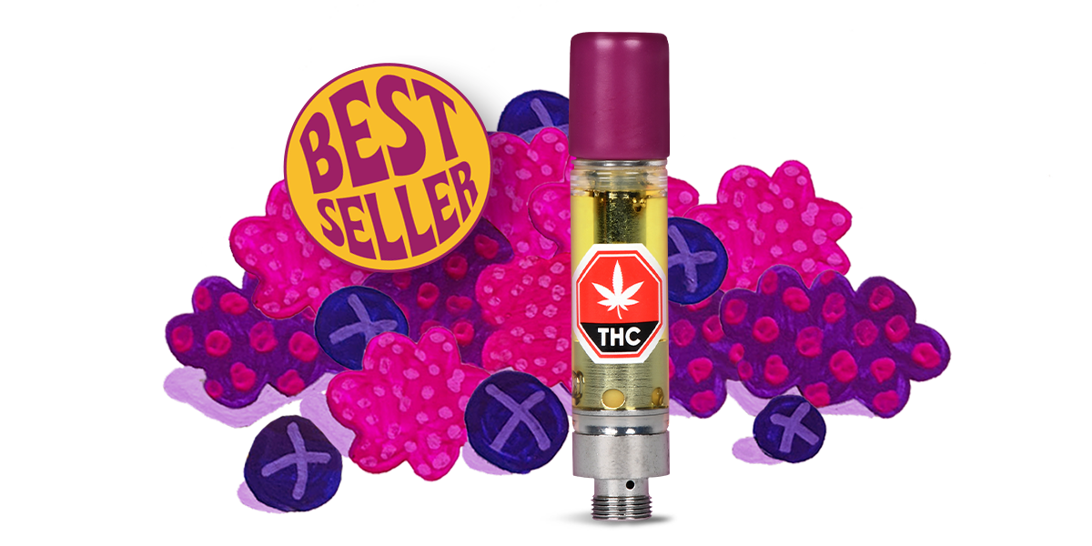 Ninja Fruit and Squish'd Berry