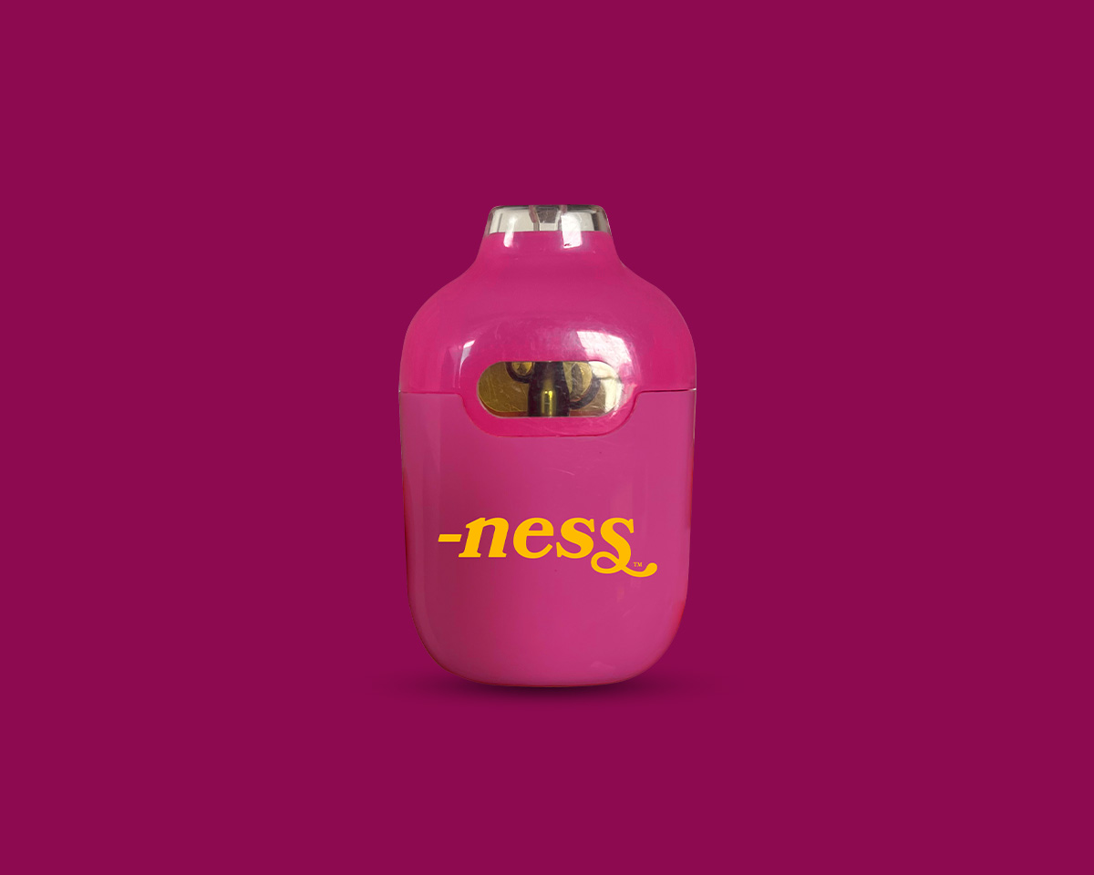 Neon Dragon - Product Image